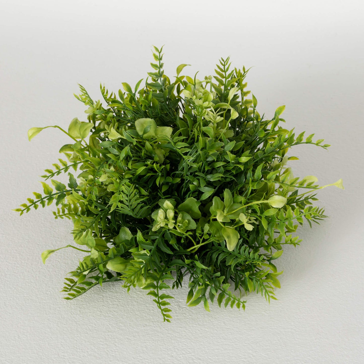 Mixed Fern Orb