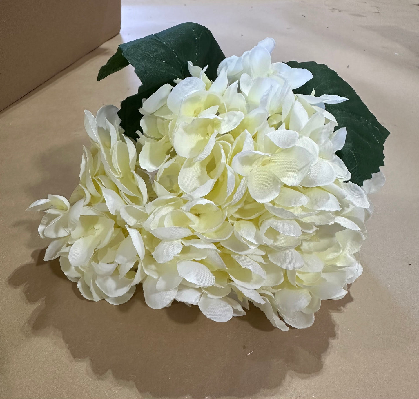Hydrangea Stem White