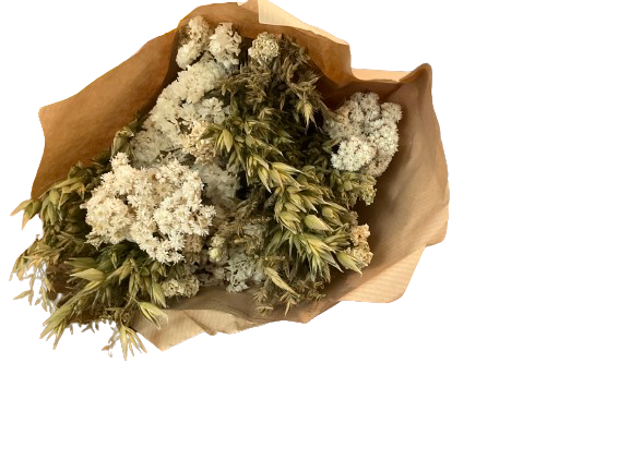 Baby’s Breath Dried Bouquet