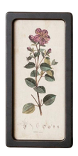 Load image into Gallery viewer, Botanical Framed Prints
