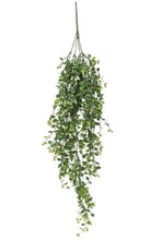 Load image into Gallery viewer, Seraph Vine Hanging Bush 34&quot;
