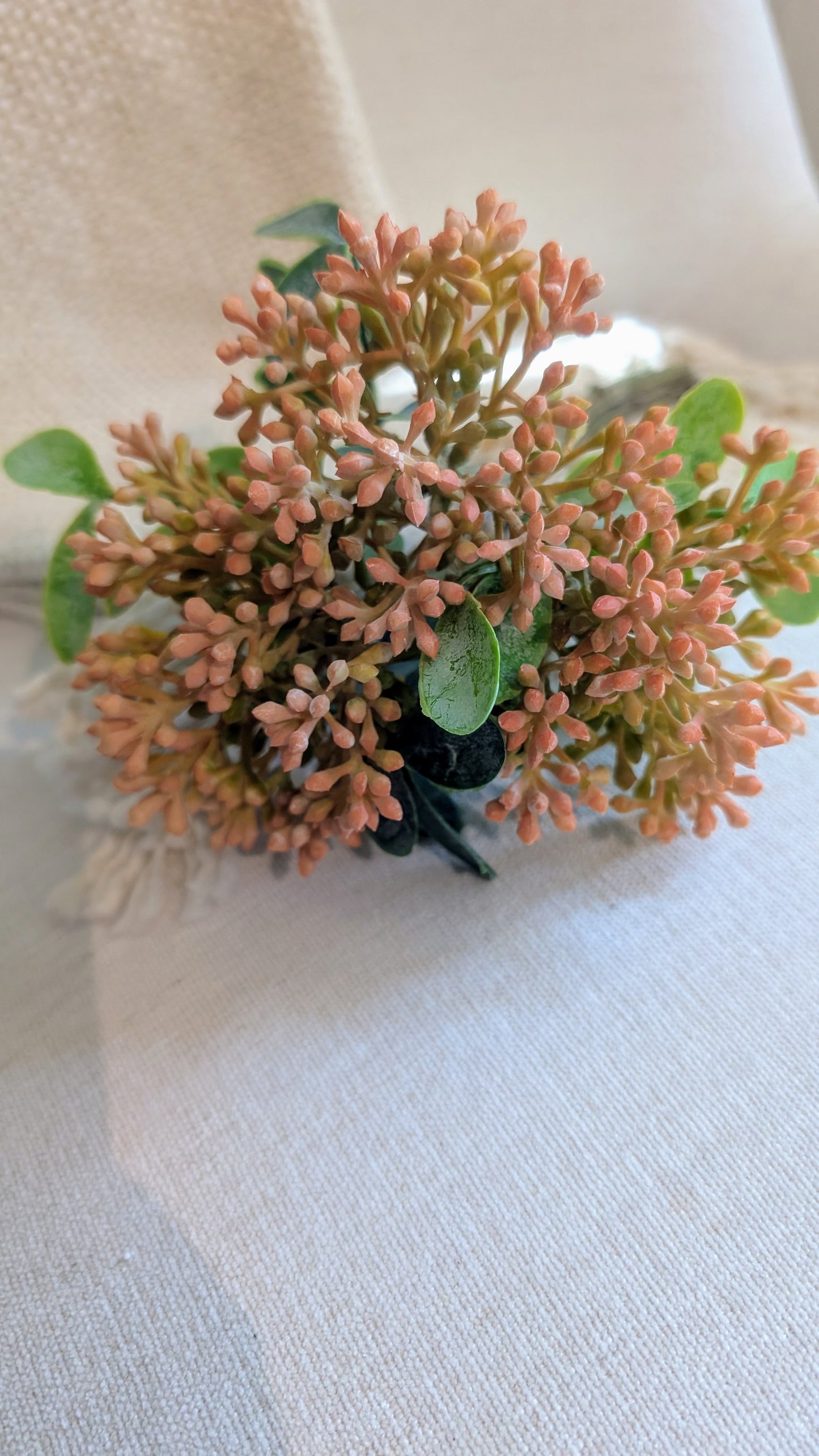 Berry Bundle
