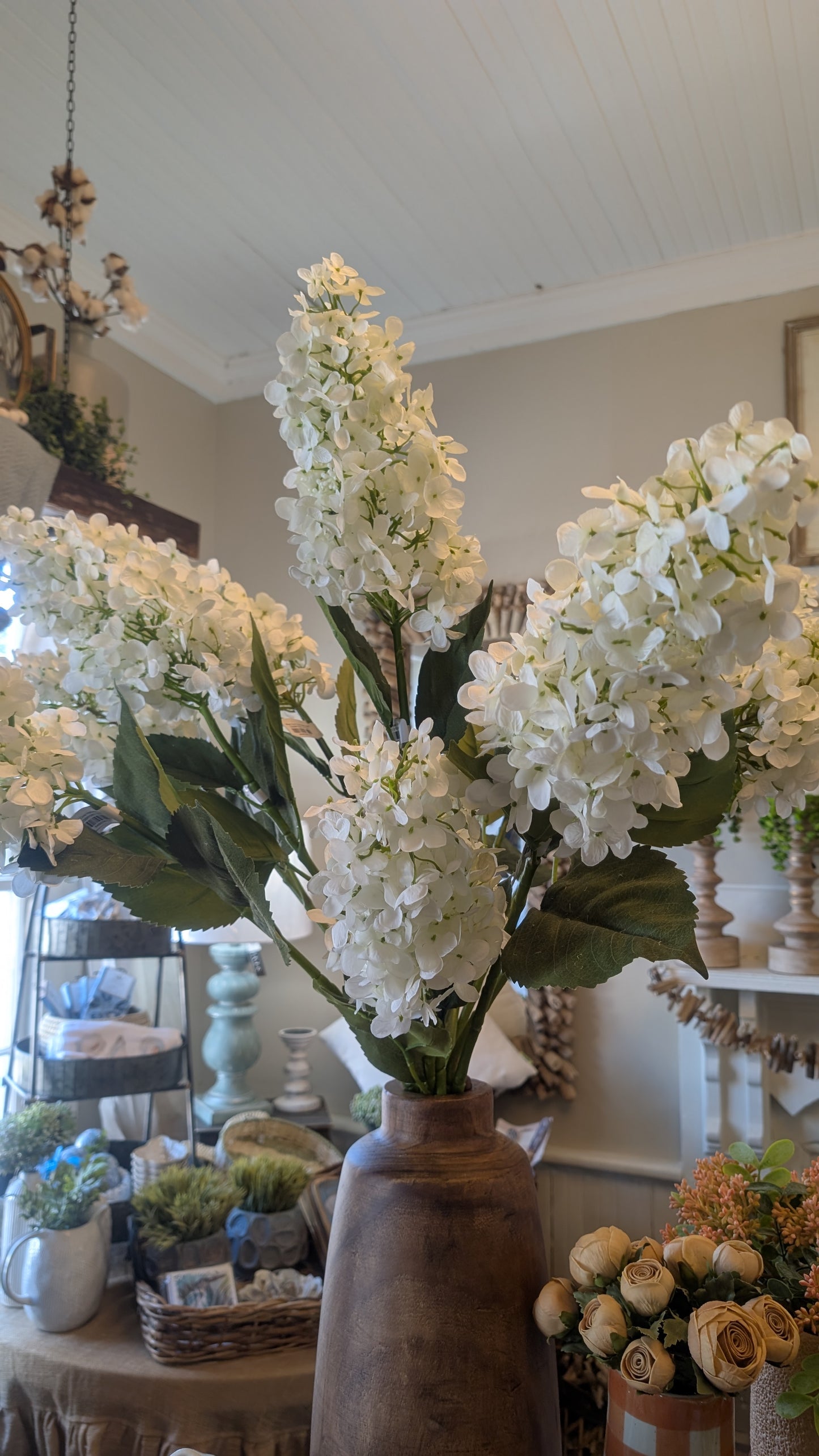 White Cone Hydrangea Stem