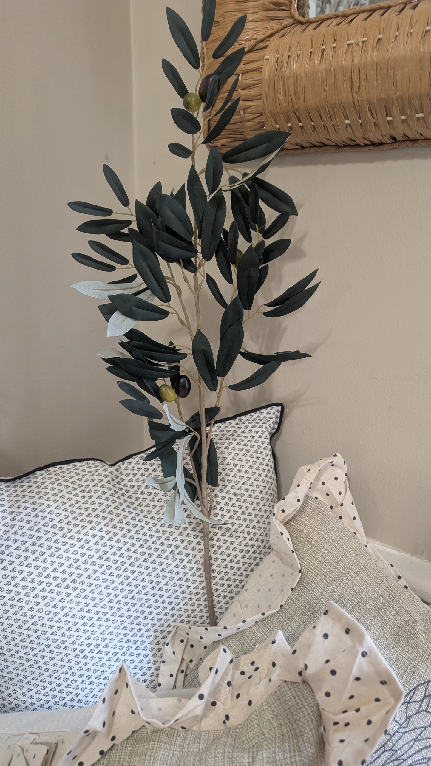 Olive Leaf Spray