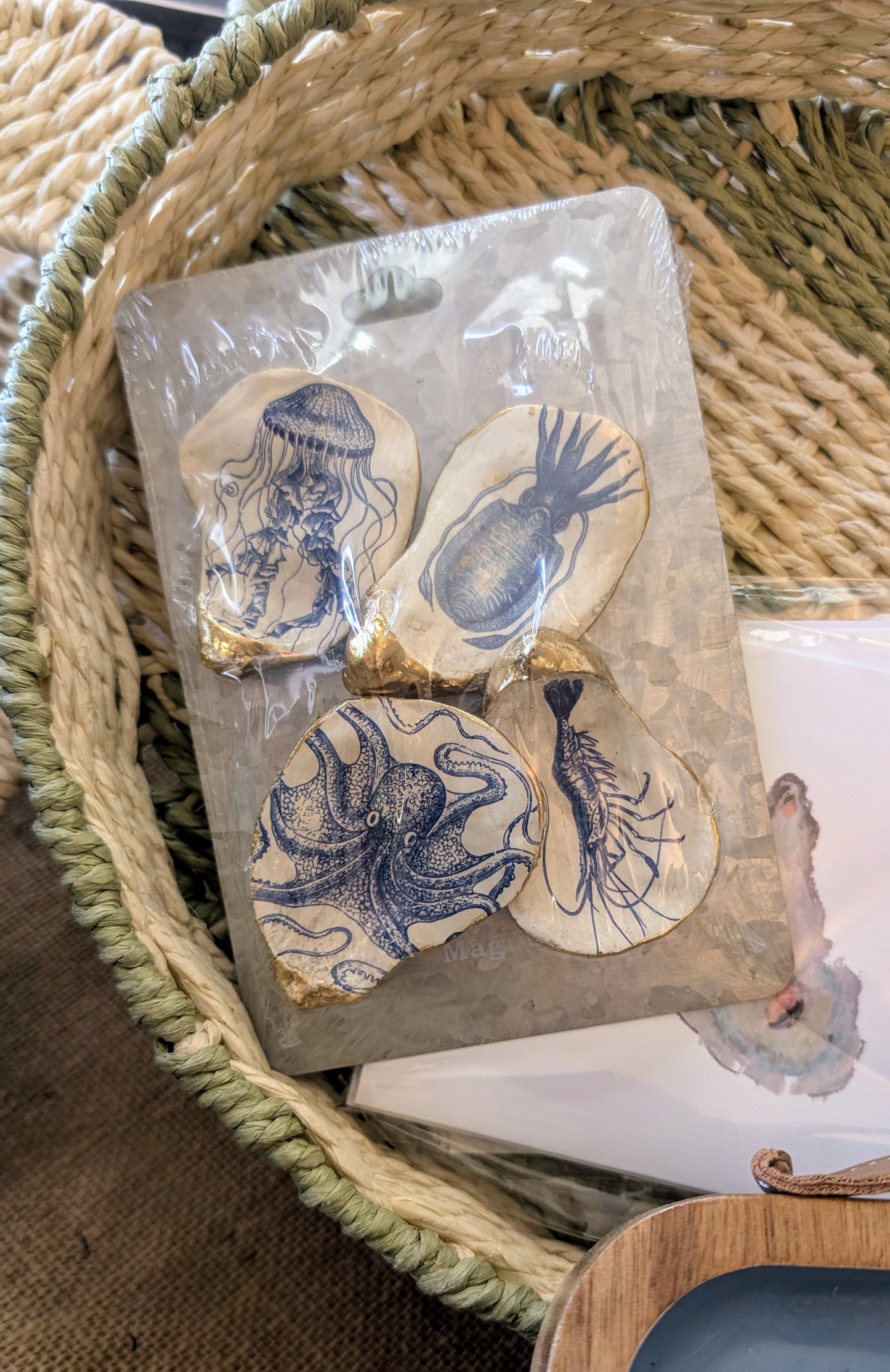 Oyster Magnets