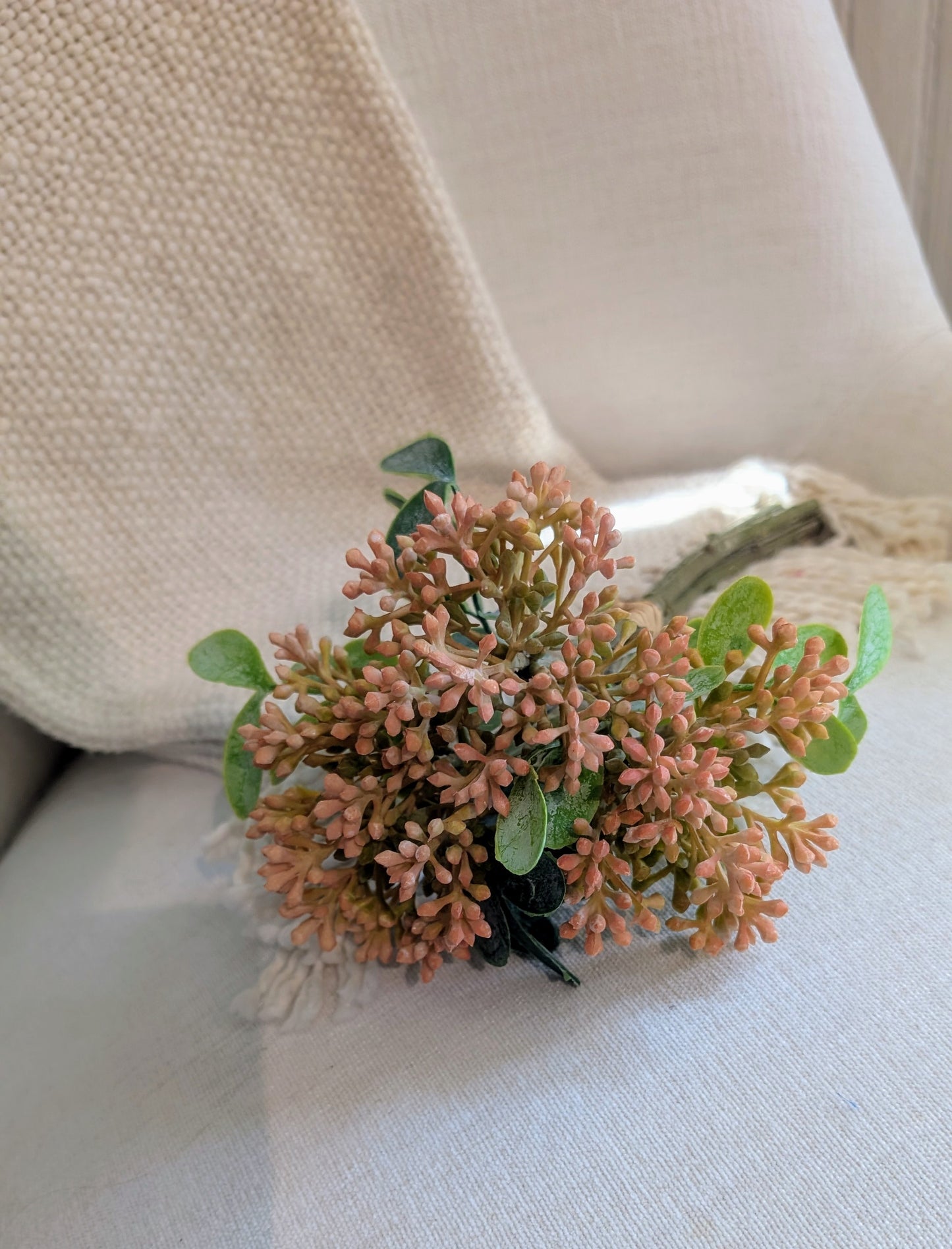 Berry Bundle