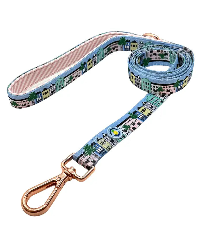 Rainbow Row Leash Pink/White Silver