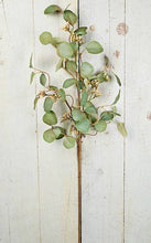 Load image into Gallery viewer, Silver Dollar Leaves and Seeds Spray 30&quot;
