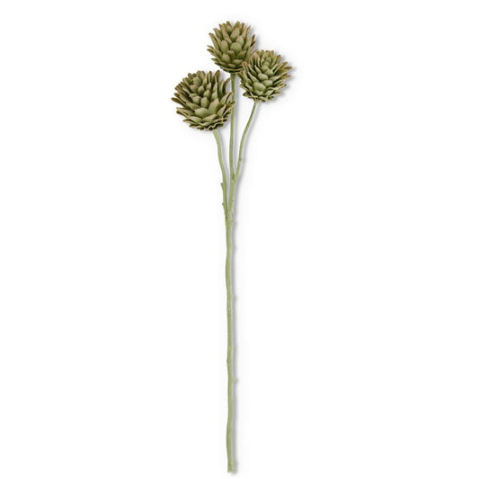 Artichoke Spray