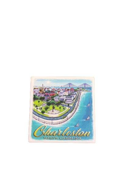 Charleston SC Coaster