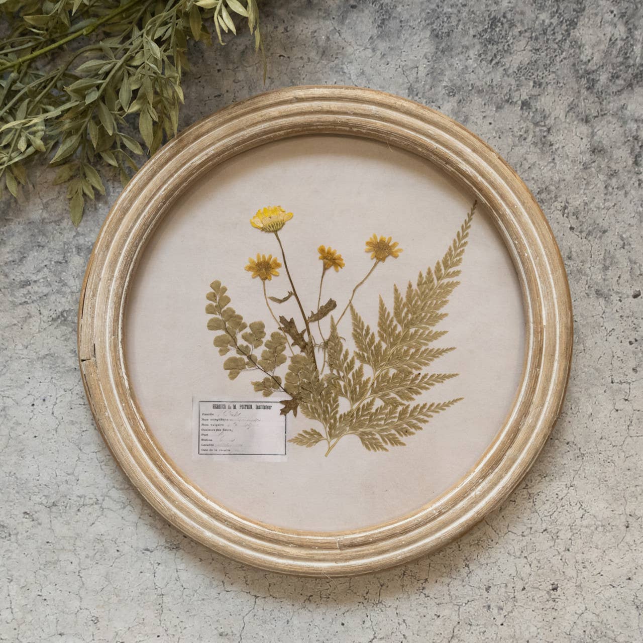 Round Pressed Foliage Print 9.5"