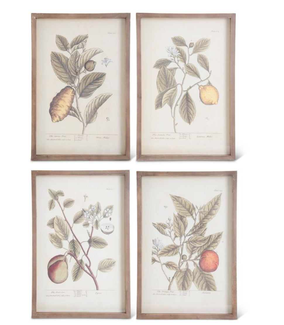 Wood Framed Fruit Picture