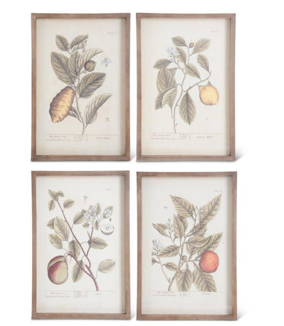 Wood Framed Fruit Picture