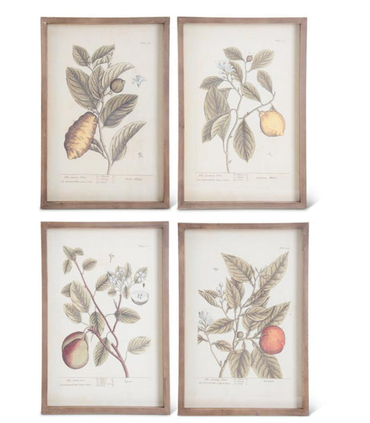 Wood Framed Fruit Picture