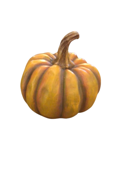 Pumpkin Patch