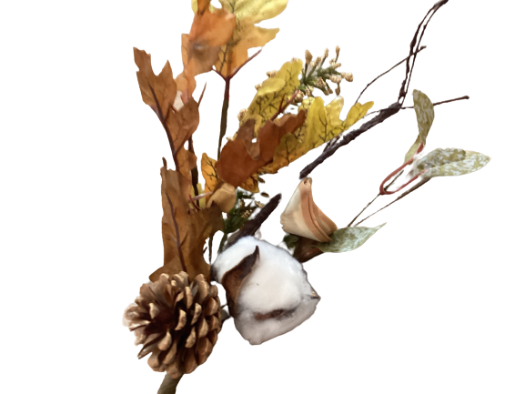 Fall Cones, Cotton & Leaves Pick