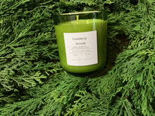 Load image into Gallery viewer, Green Glass Jar 10 oz. Candles Christmas Scents
