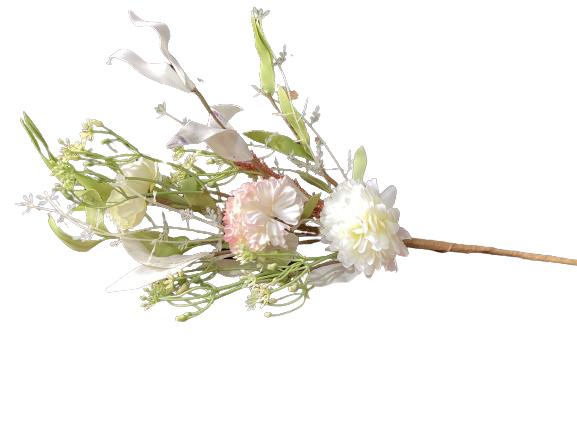 Carnation & Persian Buttercup Pick