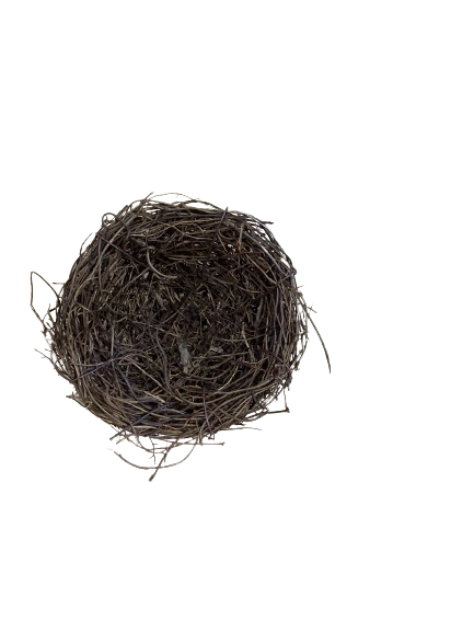 Empty Twig Bird Nest