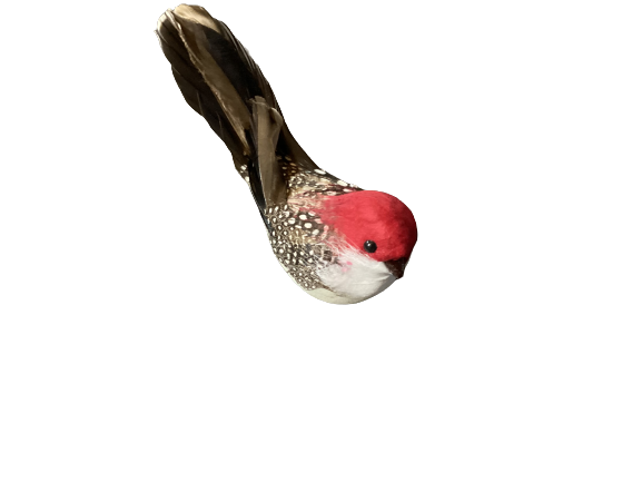 Feathered Clip On Bird 5.5