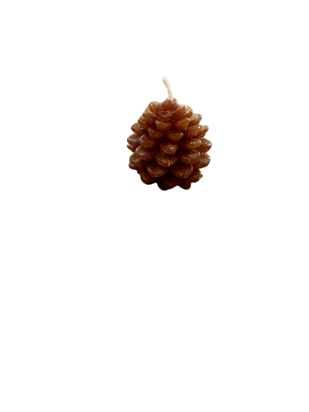 Unscented Pinecone Tealights 1.75