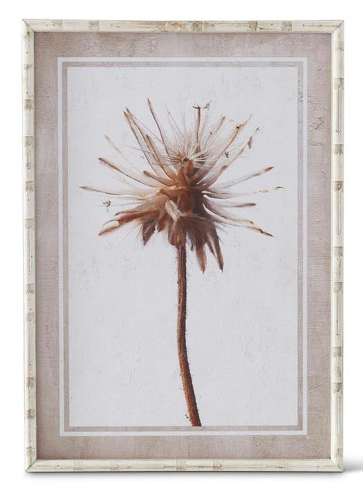 White Wood Framed Thistle Print