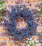 Blueberry Wreath