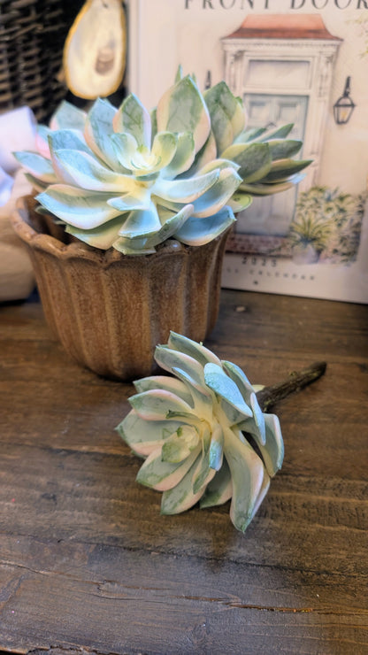 Spoon Succulent Pick