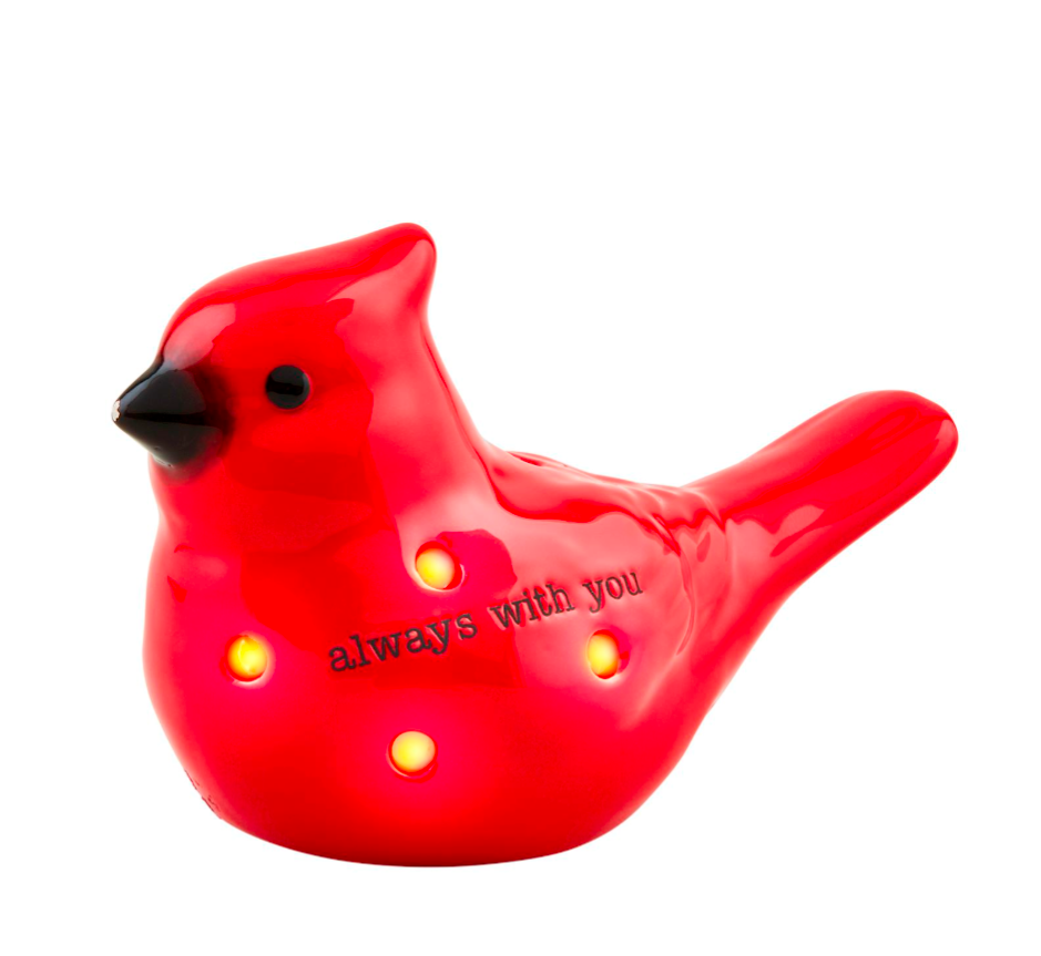 Light Up Cardinal Sitter