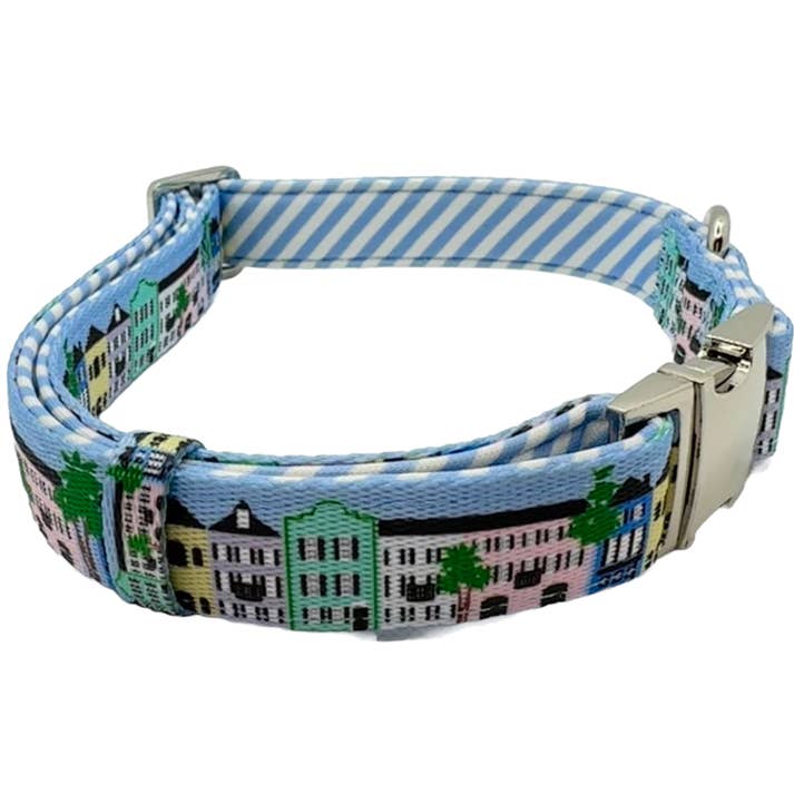 Rainbow Row Dog Collar Blue/White Stripes Silver