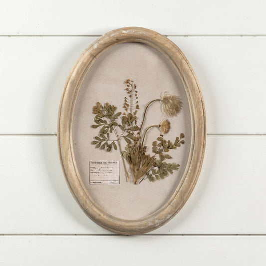 Oval Pressed Foliage Print