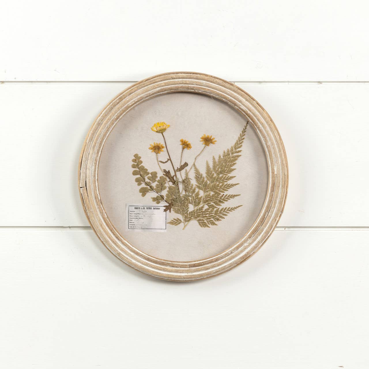 Round Pressed Foliage Print 9.5"