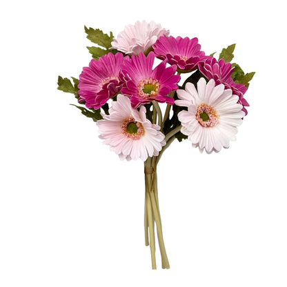 Gerber Daisy Bundle