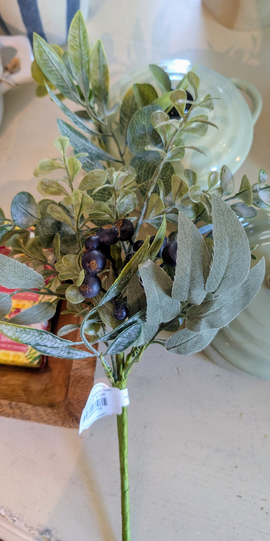 Eucalyptus & Blueberry Stem