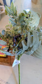 Eucalyptus & Blueberry Stem
