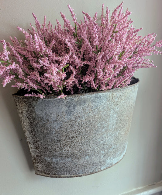 Pink Astilbe