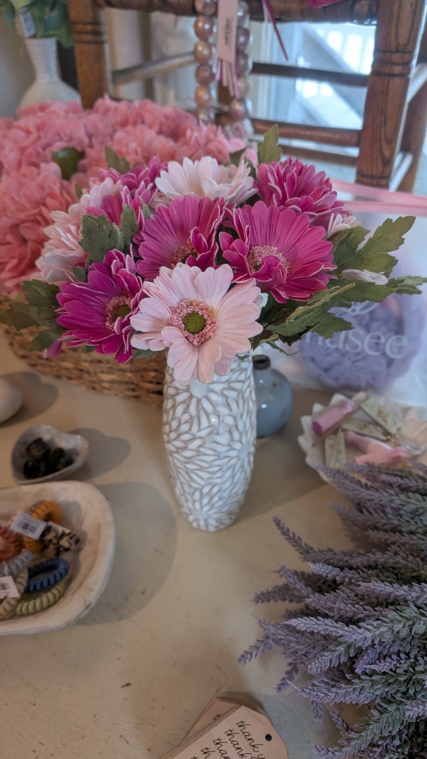 Gerber Daisy Bundle