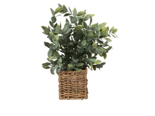 Load image into Gallery viewer, Herbs In Woven Basket 12&quot; Assort Styles
