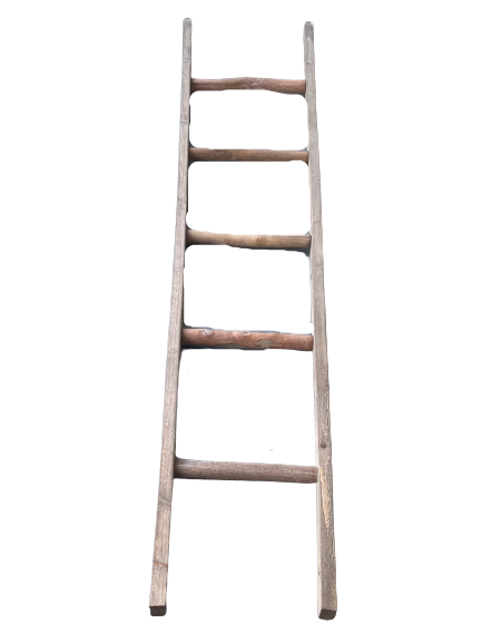 Primitive Wooden Display Ladder