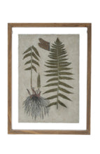 Load image into Gallery viewer, Botanical Picture 11.75&quot;w x 15.75&quot;h
