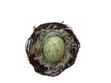 Load image into Gallery viewer, Bird Nest 3&quot; Feathers/Egg Assort Colors
