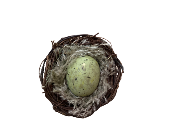 Bird Nest 3