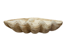 Load image into Gallery viewer, Magnesia Seashell Bowl Cream

