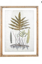 Load image into Gallery viewer, Botanical Picture 11.75&quot;w x 15.75&quot;h
