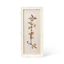 Load image into Gallery viewer, Pressed Botanical Framed Prints, 4 Assorted Styles

