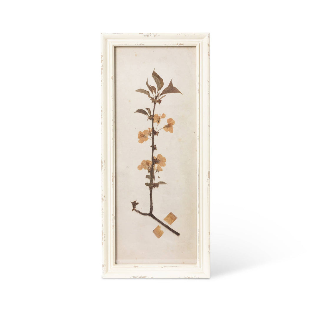 Pressed Botanical Framed Prints, 4 Assorted Styles