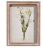 Botanical Shadowbox 10x7.5 Assort Styles