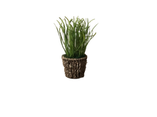 Load image into Gallery viewer, Potted foliage grass
