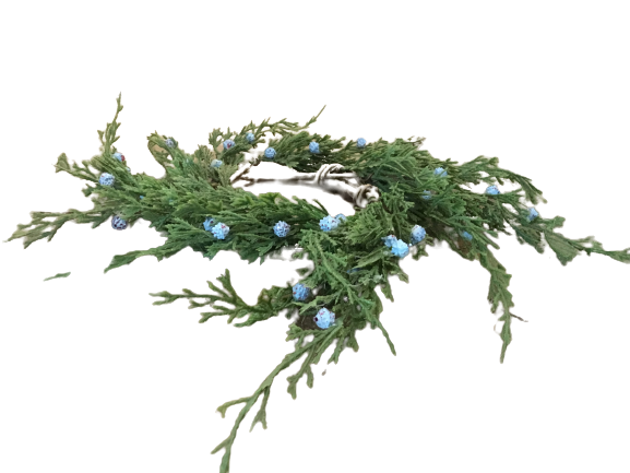 Winter Blues Juniper CR 4.5