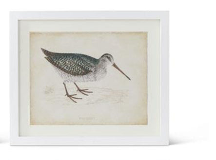 Coastal Bird Print #2 w/White Frame 18x15